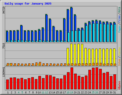 Daily usage for January 2025