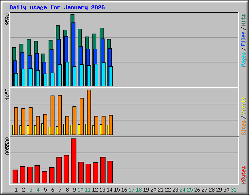 Daily usage for January 2026