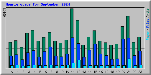 Hourly usage for September 2024