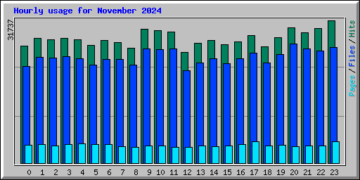 Hourly usage for November 2024