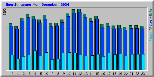 Hourly usage for December 2024