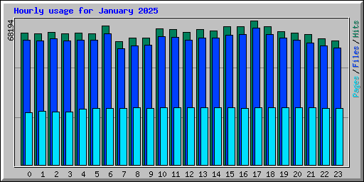 Hourly usage for January 2025