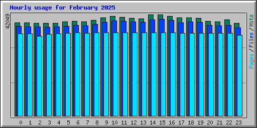 Hourly usage for February 2025