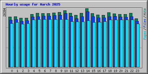 Hourly usage for March 2025