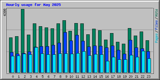 Hourly usage for May 2025