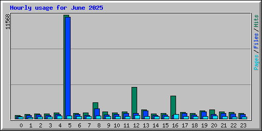 Hourly usage for June 2025