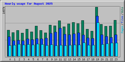 Hourly usage for August 2025
