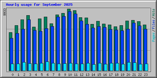 Hourly usage for September 2025