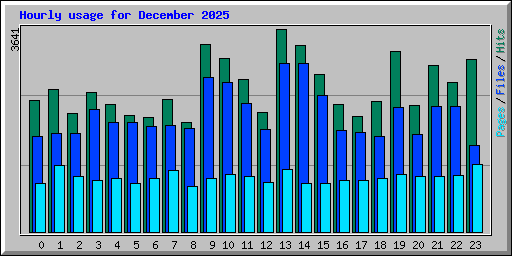 Hourly usage for December 2025