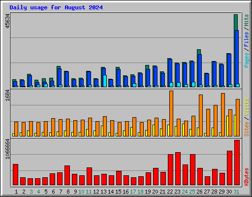 Daily usage for August 2024