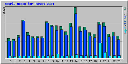 Hourly usage for August 2024