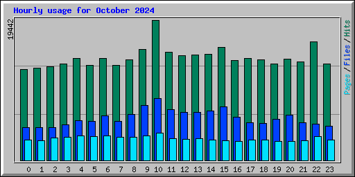 Hourly usage for October 2024